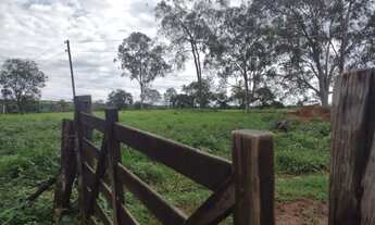 Imagem 5: Venda Commercial / Agricultural Curvelo MG