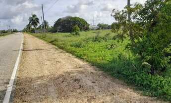 Imagem 3: TERRENO ENTRE A PRAIA DO ABAÍS X PRAIA DO SACO