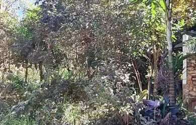 Imagem 4: LINDO LOTE EM ÁREA NOBRE