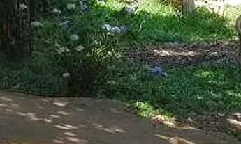 Imagem 5: Chácara à venda em Boa Vista da Aparecida