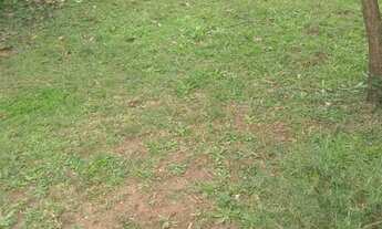 Imagem 3: Terreno 600 mt² Campo do Tenente - PR