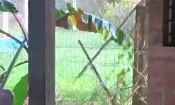 Imagem 2: Piscina spa - quiosque - Ambev