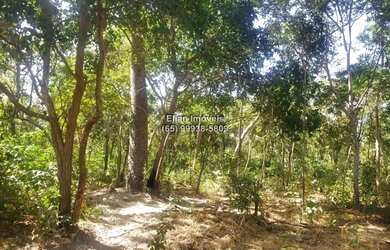 Imagem 3: Terreno à venda em zona rural em Santo Antônio de Leverger-MT