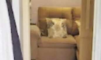 Imagem 7: APARTAMENTO - ORTIZES - SP