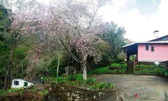 Imagem 6: Sítio com 6600M² à venda