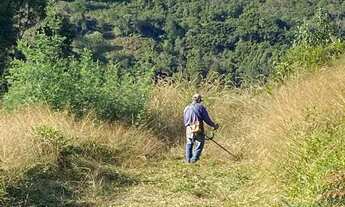 Imagem 3: Sítio em Estrada da Serra Grande - Serra Grande Italiana - Gramado/RS