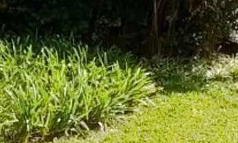 Imagem 2: CASA ASSOBRADADA - SUMARÉ - SP