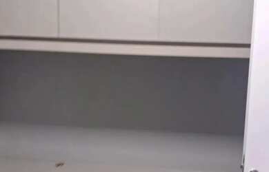 Imagem 6: Imóvel para aluguel possui 55 m2 com 2 quartos, sendo uma suíte em Parque Itália - Campina