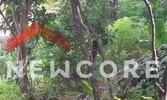 Imagem 4: Casa em Rua Perobas - Colonial - Contagem/MG