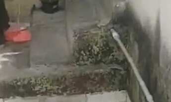 Imagem 7: Kitnet - Piedade - Comunidade Caixa D'água