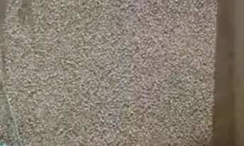 Imagem 5: Apartamento 2 Quartos para assumir prestação