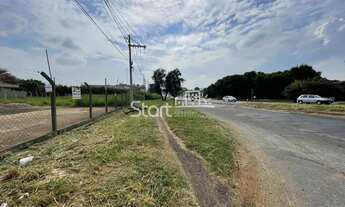 Imagem 2: área - Parque Brasil 500 - Paulínia