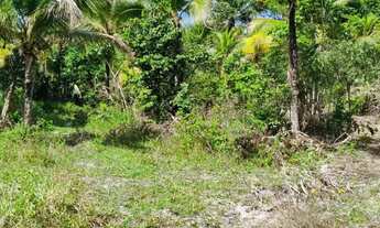 Imagem 5: Fazenda de CAMARÃO - 26 tarefas - INDIAROBA