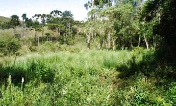 Imagem: Lote em Campos do Jordão - Vila Abernéssia