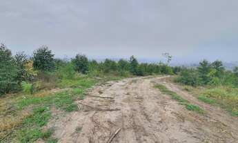 Imagem 6: Sitio 18 alqueires - Ipeúna - SP