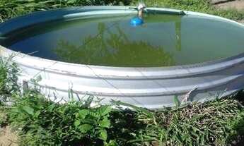 Imagem 7: São João D'Áliança - GO