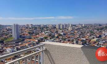 Imagem 6: São Paulo - Apartamento Padrão - Jabaquara