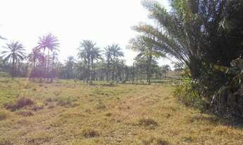 Imagem 3: Fazendinha município Aratuípe -Bahia