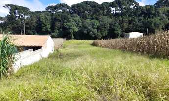 Imagem: Excelente Chacra com 2.500 m2 Campina taguara