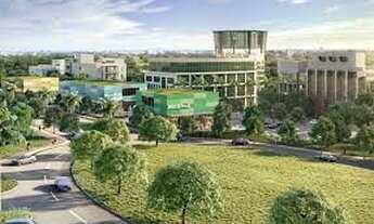 Imagem 2: Lote Plateau Dor