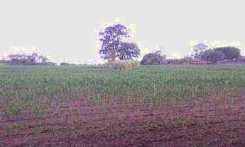 Imagem 7: Terreno para construção de torres de 8 andares - Sarandi-PR