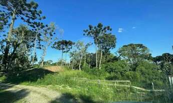Imagem 4: Terreno à venda em Campo Largo/PR