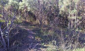 Imagem 4: VENDO CHÁCARA DE FRENTE PARA O ASFALTO EM GLORINHA