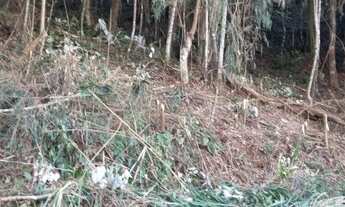 Imagem 2: Lote/Terreno para venda possui 990 metros quadrados em Panorama - Teresópolis - Rio de Jan