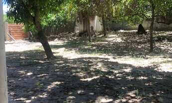 Imagem 2: Sitio no mosqueiro próximo a orla por do sol