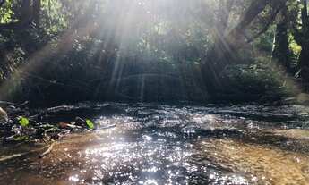 Imagem 3: Vende -se sitio/chácara de 20.000m² no Empreendimento Terra Dourada