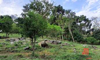 Imagem 3: Fazenda/Sítio/Chácara para venda possui 500 metros quadrados com 3 quartos