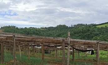 Imagem 6: VENDO SÍTIO EM GRAVATAÍ