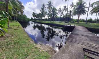 Imagem 3: Área à venda, 29000 m² por R$ 5.800.000 - Dependência - Una/BA