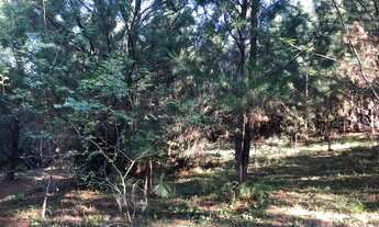 Imagem 7: VENDO CHÁCARA DE FRENTE PARA O ASFALTO EM GLORINHA
