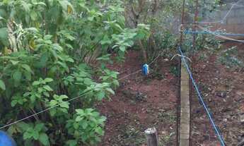 Imagem 5: Vendo casa zona sul R$ 130.000