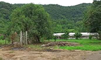 Imagem 4: VENDO SÍTIO EM GRAVATAÍ