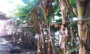 Imagem 4: PORTO ALEGRE - Terreno Padrão - Vila João Pessoa