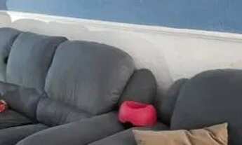 Imagem 2: Vende-se casa jardim São Bernardo