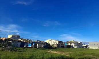 Imagem 5: Terreno morada dos pássaros