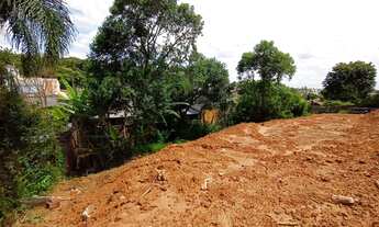 Imagem 6: Lote/Terreno para venda com 665 metros quadrados em Santo Inácio - Curitiba - PR