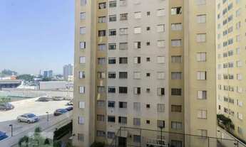 Imagem 3: Apartamento à Venda - Água Branca, 2 Quartos, 44 m2