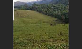 Imagem 4: 23.6 Hectares (ideal gado