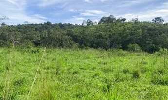 Imagem 5: Fazenda com área de 155 hectares em Mateus Leme/MG