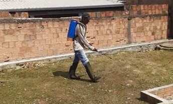 Imagem 3: Av Pará número 448 A Bairro Liberdade 1