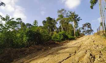 Imagem 5: Uma nova oportunidade para uma nova vida