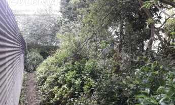 Imagem 5: Santo André - Casa Padrão - Parque João Ramalho