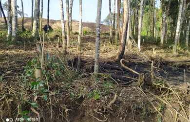 Imagem 3: Venha conhecer o melhor terreno de 1.000m²