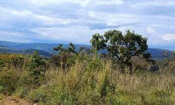 Imagem 3: Vendo lote de chácara com 8430mt