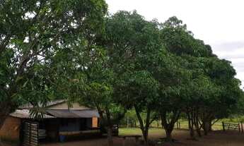 Imagem 4: Chácara Fazenda em Formosa GO 36 hectares = 320.000m²