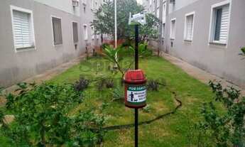 Imagem 7: Ribeirao Preto - Apartamento Padrão - Vila Pompeia